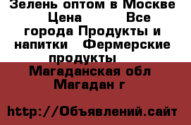 Зелень оптом в Москве. › Цена ­ 600 - Все города Продукты и напитки » Фермерские продукты   . Магаданская обл.,Магадан г.